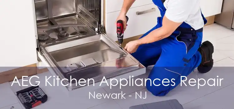AEG Kitchen Appliances Repair Newark - NJ
