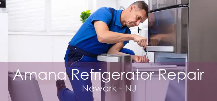 Amana Refrigerator Repair Newark - NJ