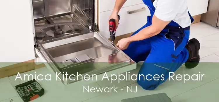 Amica Kitchen Appliances Repair Newark - NJ