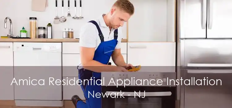 Amica Residential Appliance Installation Newark - NJ