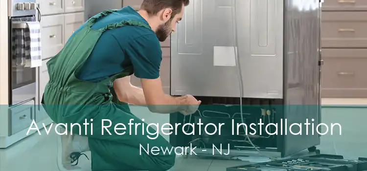 Avanti Refrigerator Installation Newark - NJ
