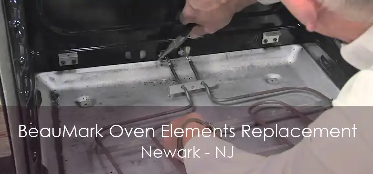 BeauMark Oven Elements Replacement Newark - NJ