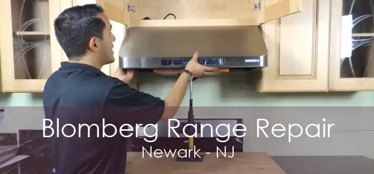 Blomberg Range Repair Newark - NJ