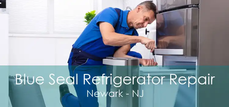 Blue Seal Refrigerator Repair Newark - NJ