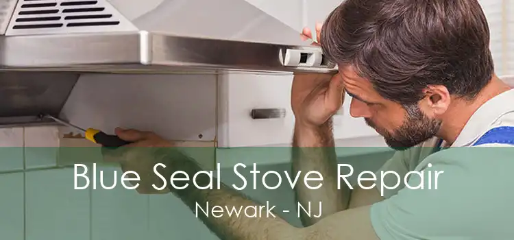 Blue Seal Stove Repair Newark - NJ