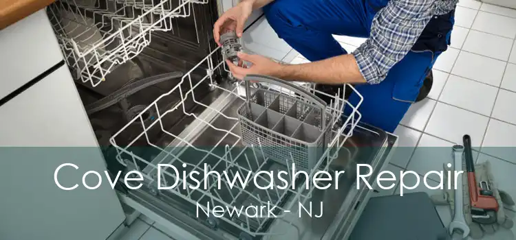 Cove Dishwasher Repair Newark - NJ