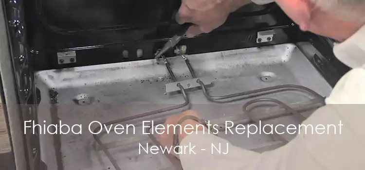 Fhiaba Oven Elements Replacement Newark - NJ