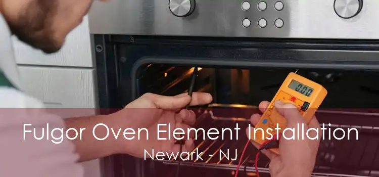 Fulgor Oven Element Installation Newark - NJ