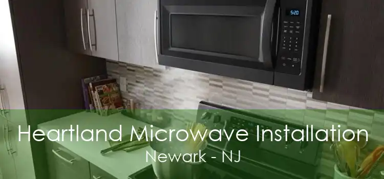 Heartland Microwave Installation Newark - NJ