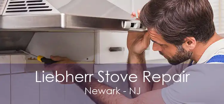 Liebherr Stove Repair Newark - NJ