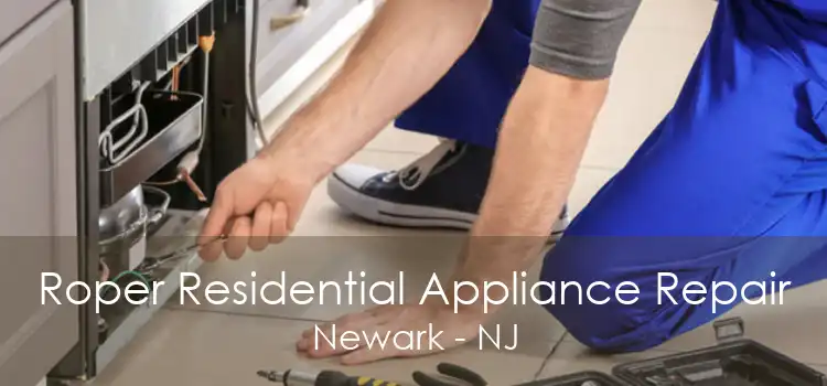 Roper Residential Appliance Repair Newark - NJ