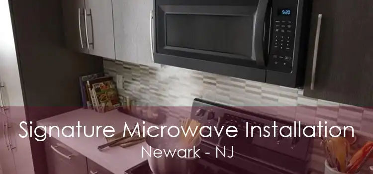 Signature Microwave Installation Newark - NJ