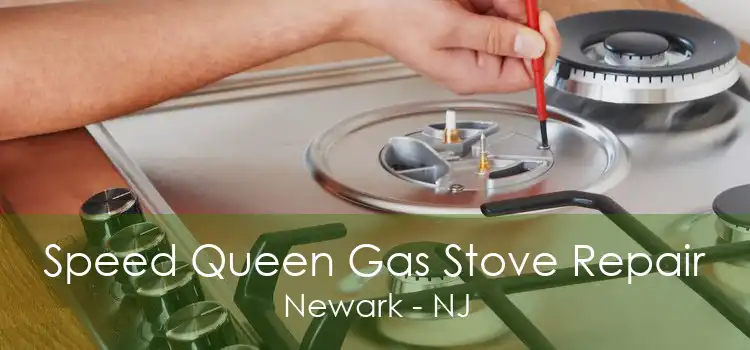 Speed Queen Gas Stove Repair Newark - NJ